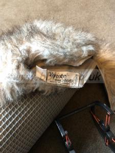 Stereo Rycote Windshield 