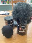 Rycote baseball