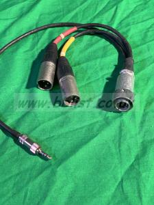 SQN 10 pin Male plug to 2 x XLR  & 3.5mm Plug